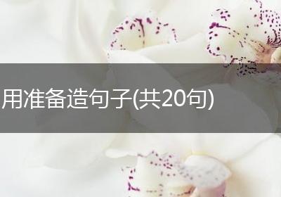 用准备造句子(共20句)