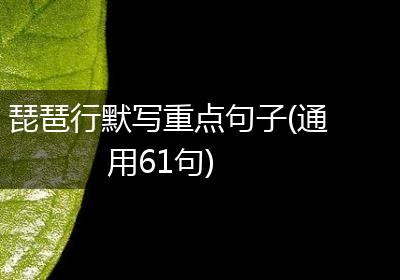 琵琶行默写重点句子(通用61句)