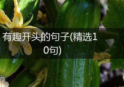 有趣开头的句子(精选10句)