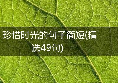 珍惜时光的句子简短(精选49句)
