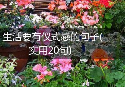 生活要有仪式感的句子(实用20句)
