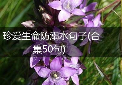 珍爱生命防溺水句子(合集50句)