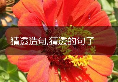 猜透造句,猜透的句子
