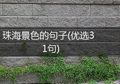 珠海景色的句子(优选31句)