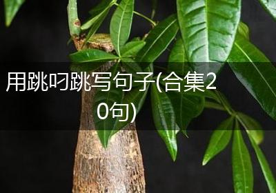 用跳叼跳写句子(合集20句)