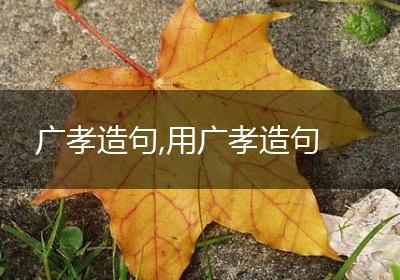 广孝造句,用广孝造句