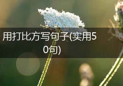 用打比方写句子(实用50句)