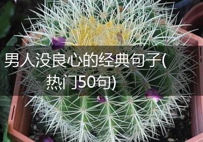 男人没良心的经典句子(热门50句)