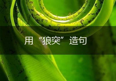 用“狼突”造句