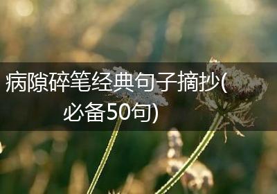 病隙碎笔经典句子摘抄(必备50句)