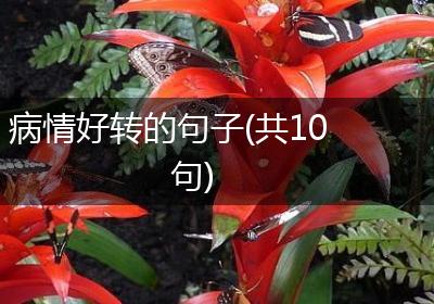 病情好转的句子(共10句)