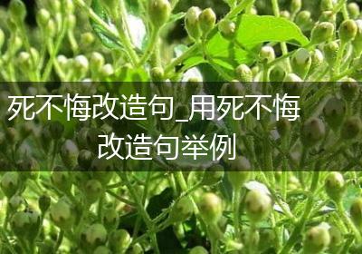 死不悔改造句_用死不悔改造句举例