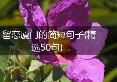 留恋厦门的简短句子(精选50句)
