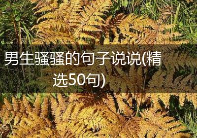 男生骚骚的句子说说(精选50句)