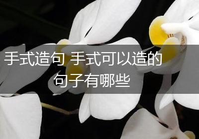 手式造句 手式可以造的句子有哪些