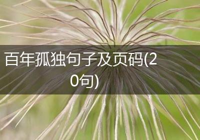 百年孤独句子及页码(20句)