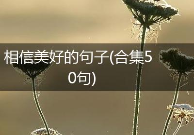 相信美好的句子(合集50句)