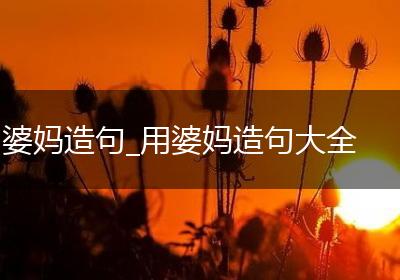 婆妈造句_用婆妈造句大全