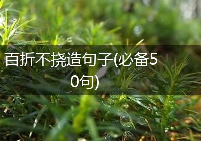 百折不挠造句子(必备50句)