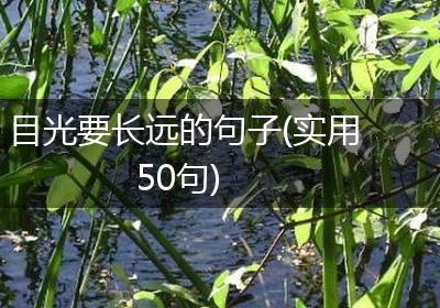 目光要长远的句子(实用50句)