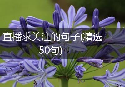 直播求关注的句子(精选50句)