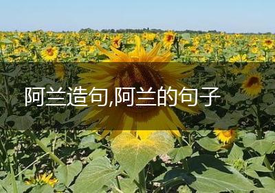 阿兰造句,阿兰的句子