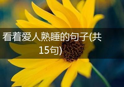 看着爱人熟睡的句子(共15句)