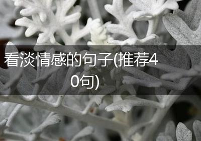 看淡情感的句子(推荐40句)