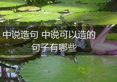 中说造句 中说可以造的句子有哪些