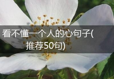 看不懂一个人的心句子(推荐50句)
