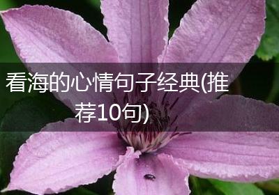 看海的心情句子经典(推荐10句)