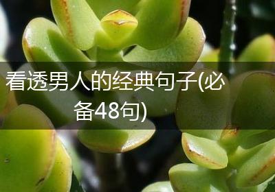 看透男人的经典句子(必备48句)