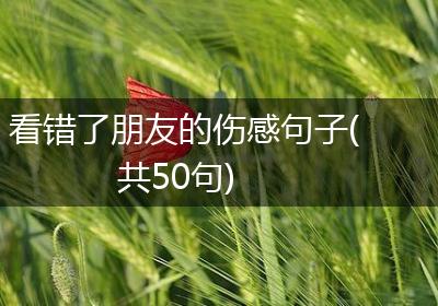 看错了朋友的伤感句子(共50句)