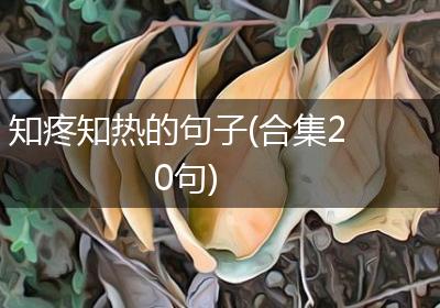 知疼知热的句子(合集20句)