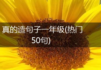 真的造句子一年级(热门50句)