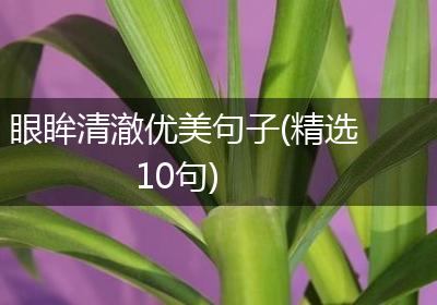 眼眸清澈优美句子(精选10句)