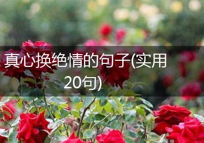 真心换绝情的句子(实用20句)