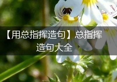 【用总指挥造句】总指挥造句大全
