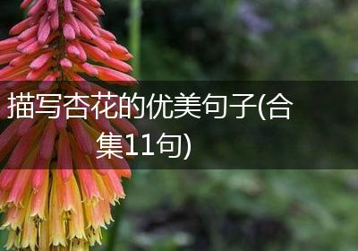 描写杏花的优美句子(合集11句)