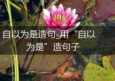 自以为是造句_用“自以为是”造句子