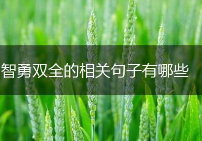智勇双全的相关句子有哪些