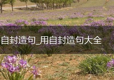 自封造句_用自封造句大全