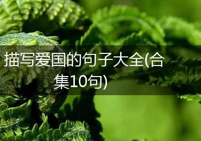 描写爱国的句子大全(合集10句)