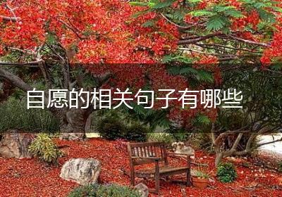 自愿的相关句子有哪些