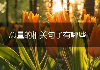 总量的相关句子有哪些