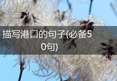 描写港口的句子(必备50句)