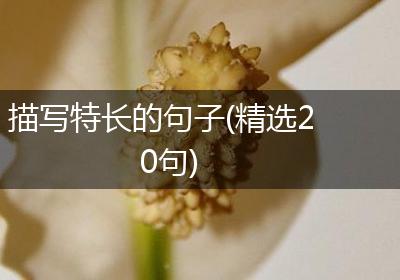 描写特长的句子(精选20句)