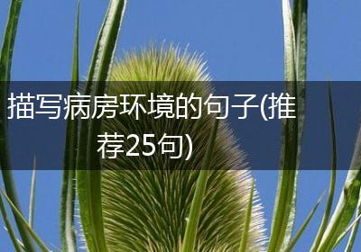 描写病房环境的句子(推荐25句)