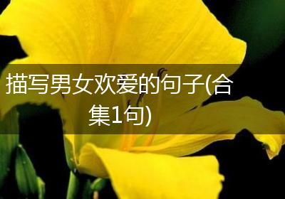 描写男女欢爱的句子(合集1句)