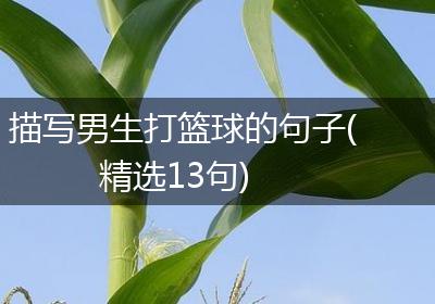 描写男生打篮球的句子(精选13句)